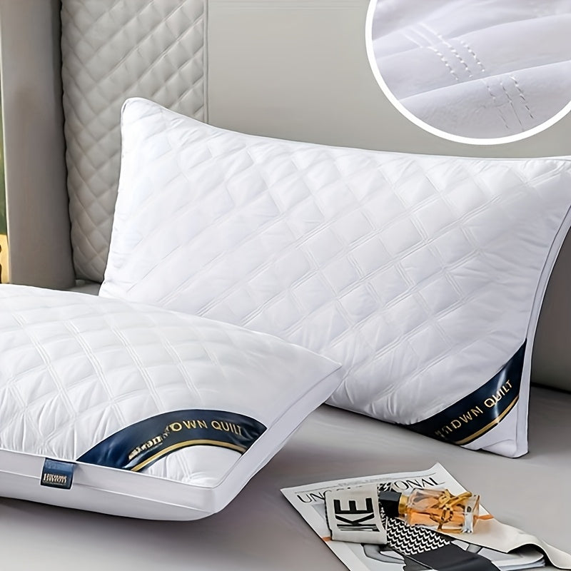 Sleep Comfort Set – 2 Hypoallergenic 3D Pillows for Hotel-Quality Sleep