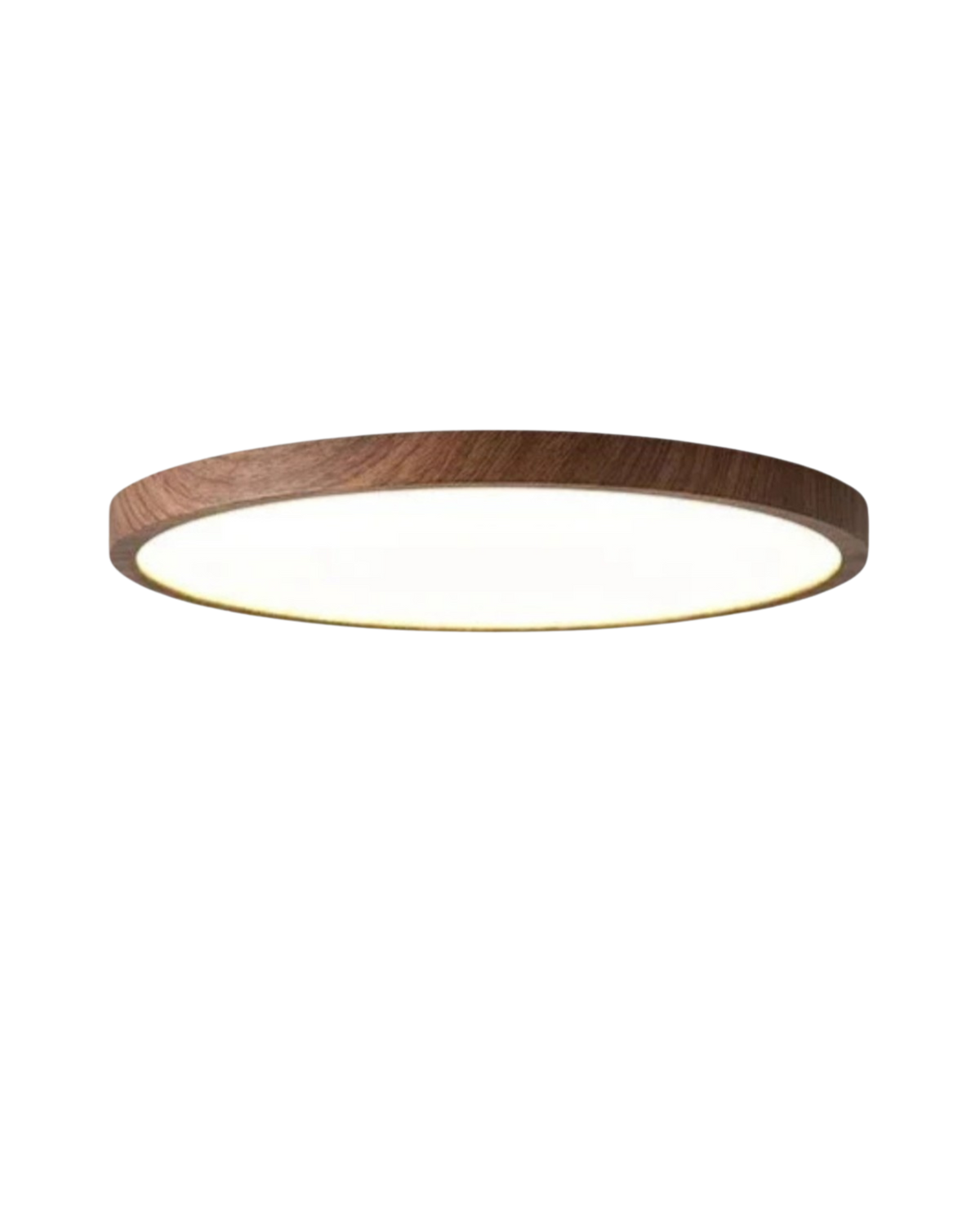 Slim LED Ceiling Light with Modern Flush Mount for Elegant Lighting