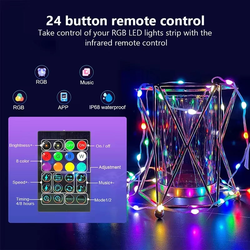 Smart Fairy Lights