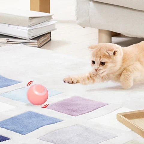 Smart Interactive Rolling Pet Ball
