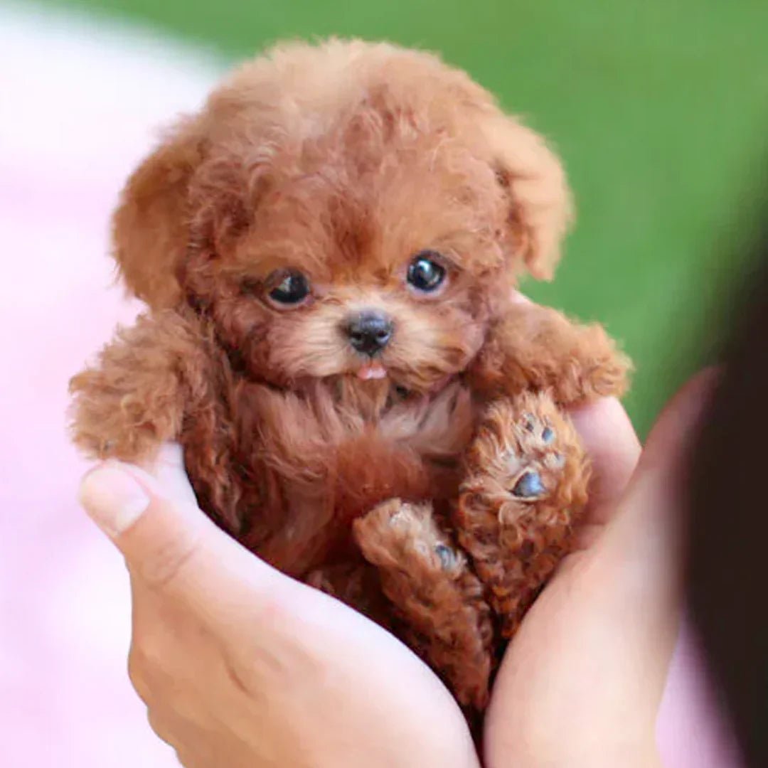 Smart Robot Puppy Dog for Children and Seniors