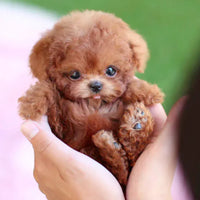 Smart Robot Puppy Dog for Children and Seniors