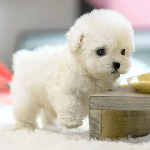 Smart Robot Puppy Dog for Children and Seniors