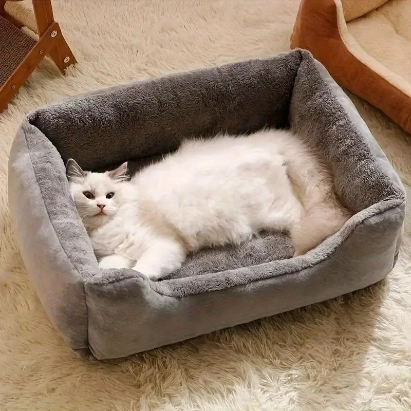 Soft Cat and Dog Bed for Small Pets with Comfortable Plush Border