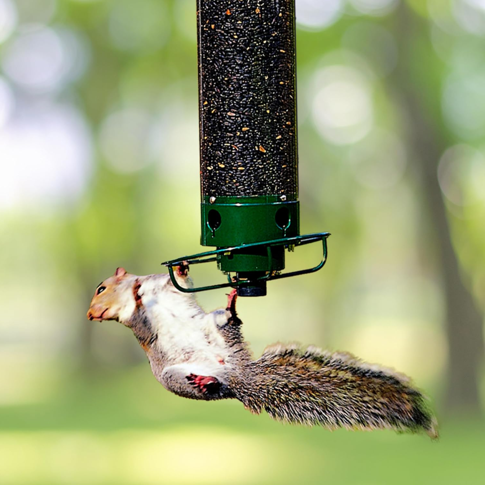 Squirrel-Proof Metal Hanging Tube Bird Feeder for Garden and Outdoor Use