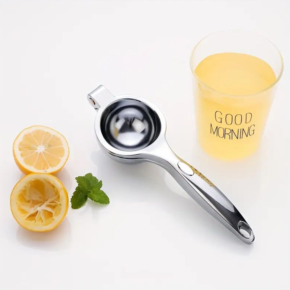 Stainless Steel Citrus Juicer with Ergonomic Handle