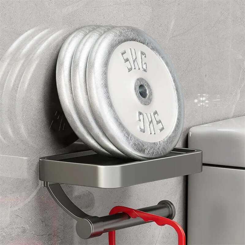 Stainless Steel Toilet Paper Holder with Shelf