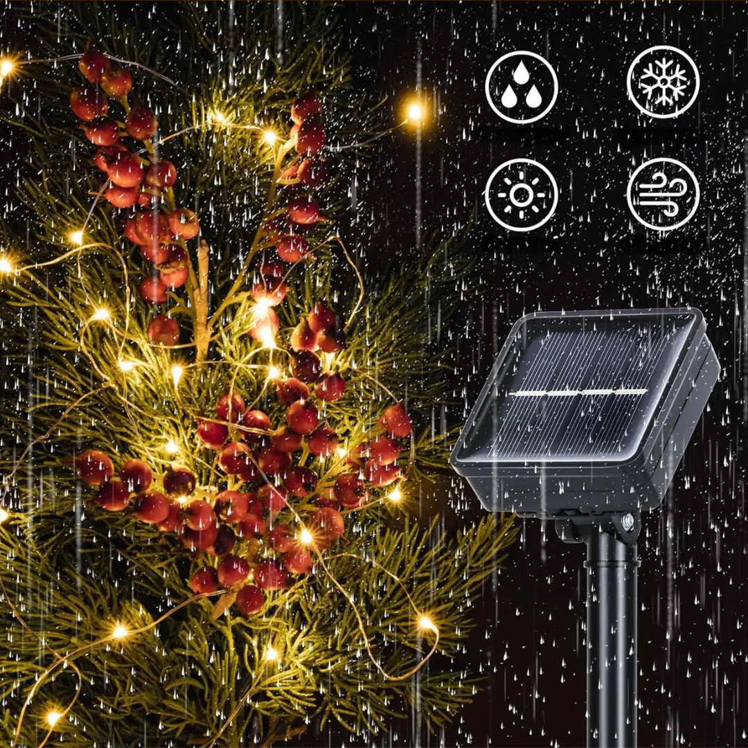 String Lights