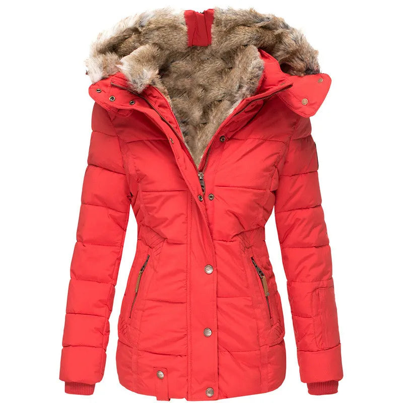 Stylish and Versatile Winter Jacket