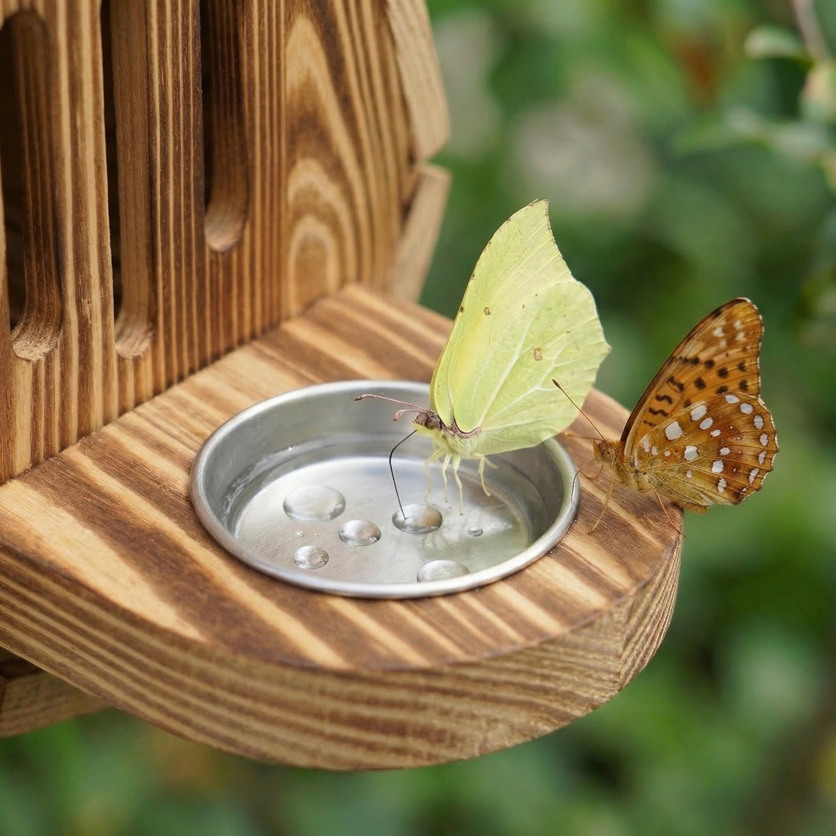 Teardrop Hanging Butterfly House