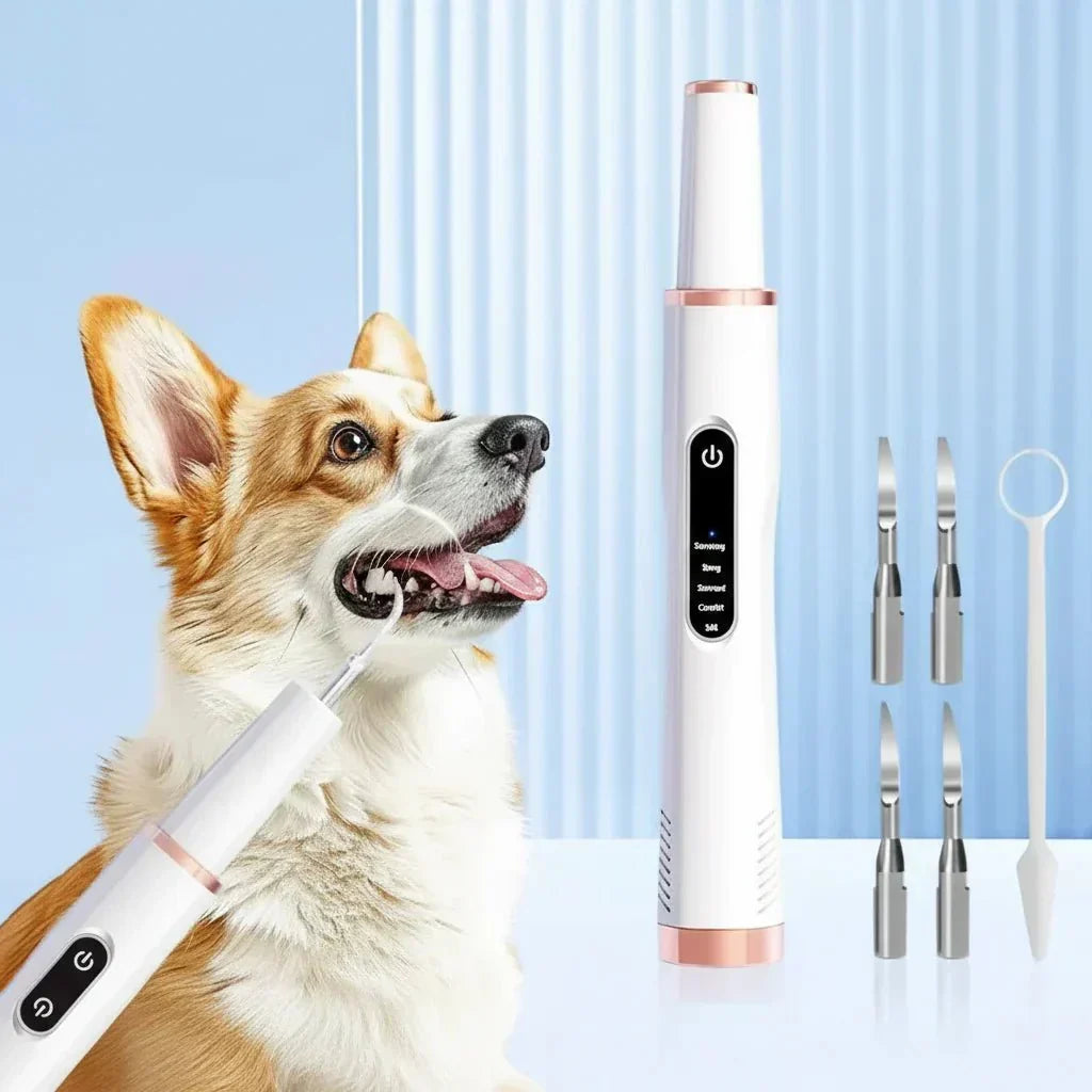 Ultrasonic Pet Plaque & Tartar Remover