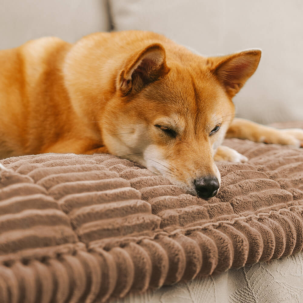 Universal Non-Slip Soft Flannel Pet Sofa Protector