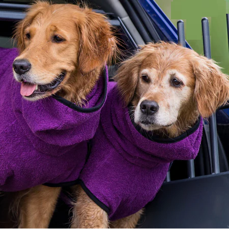 Warm Dog Coat with Adjustable Buckle