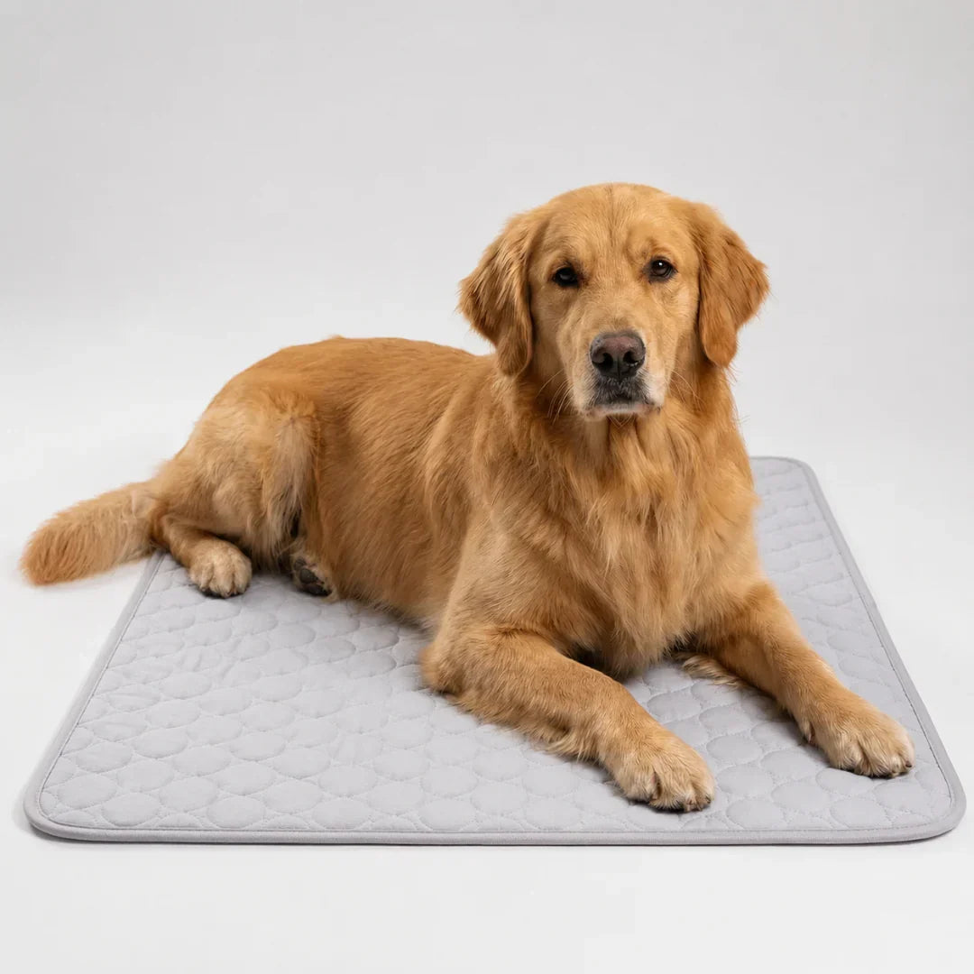 Washable Cooling Mat for Pets