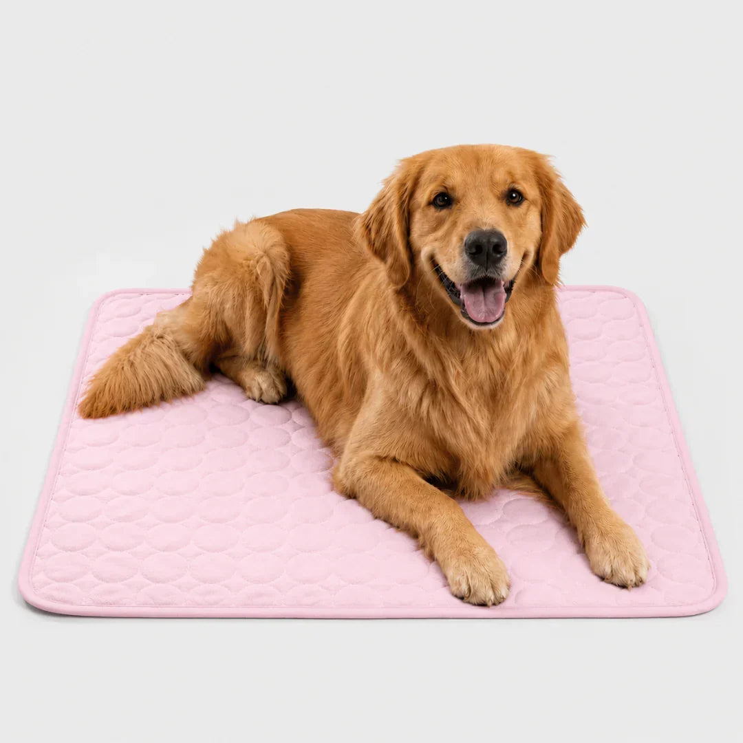Washable Cooling Mat for Pets