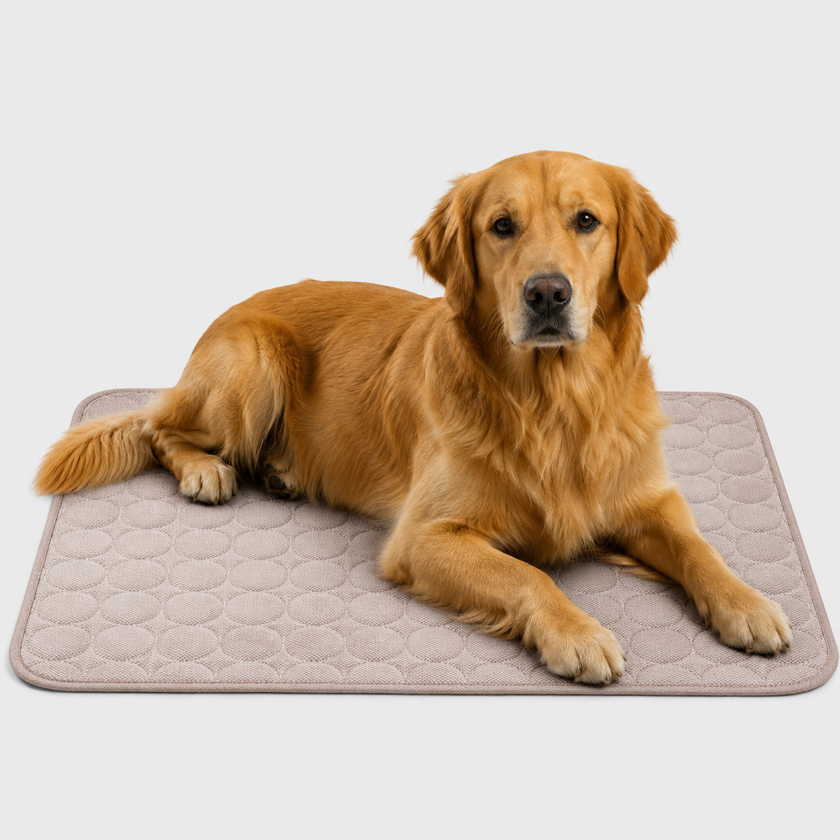Washable Cooling Mat for Pets
