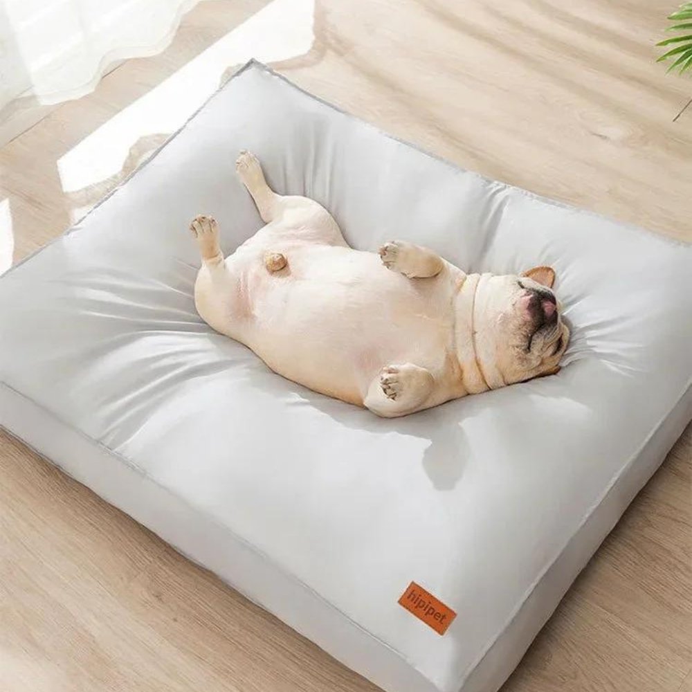Waterproof & Comfortable Dog Bed