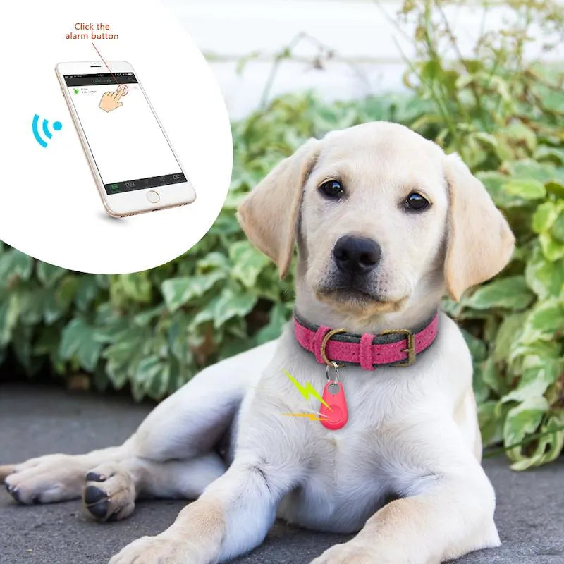 Waterproof GPS Pet Tracker with Real-Time Location