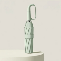 Windproof Umbrella