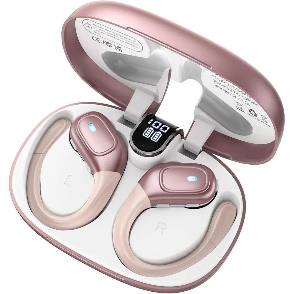 Wireless Noise-Canceling Earbuds