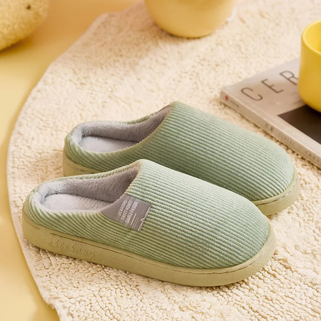 Women's Warm Winter Slippers